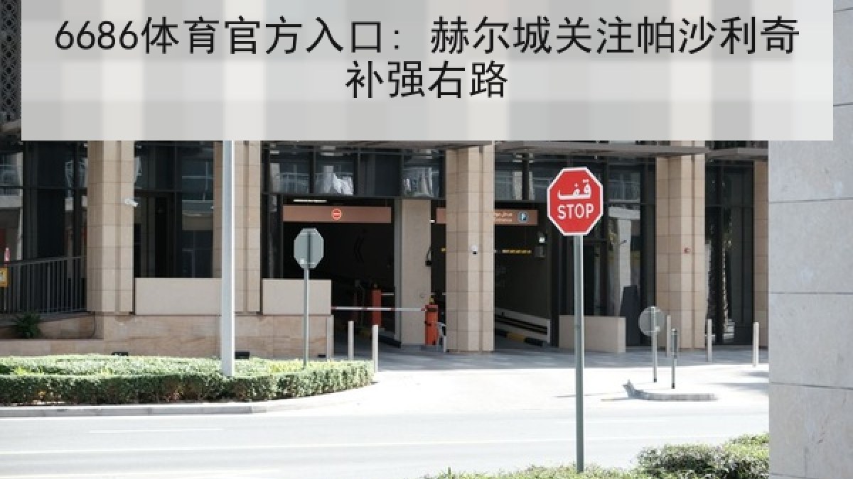 6686体育官方入口: 赫尔城关注帕沙利奇补强右路