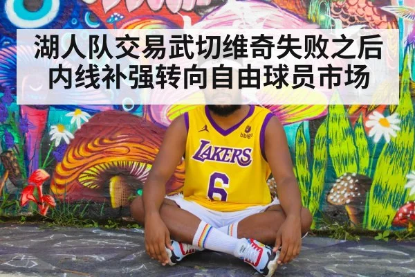 湖人队交易武切维奇失败之后内线补强转向自由球员市场