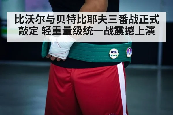 boxing championship belt