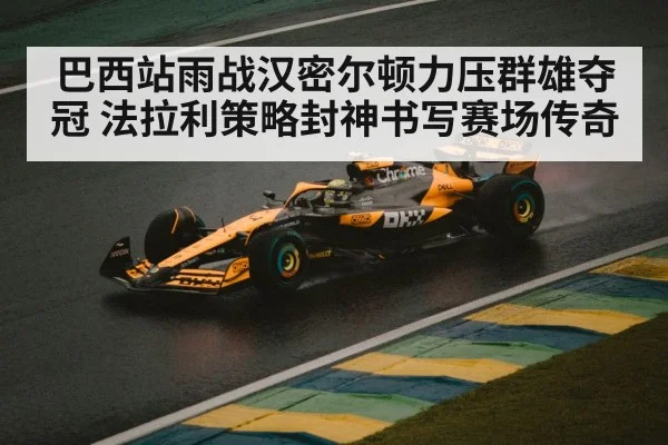 巴西站雨战汉密尔顿力压群雄夺冠 法拉利策略封神书写赛场传奇