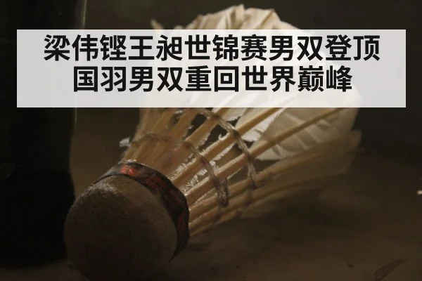 梁伟铿王昶世锦赛男双登顶 国羽男双重回世界巅峰